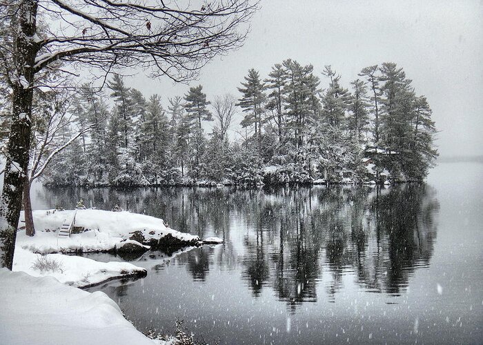 Trees Greeting Card featuring the photograph Tea Island Winter Reflections by Russel Considine