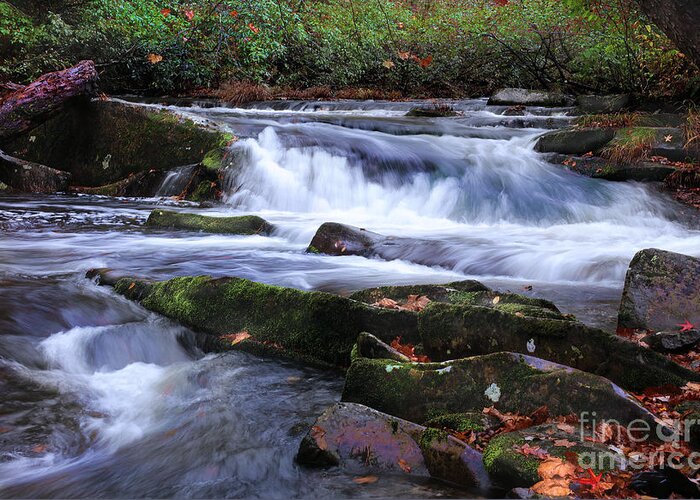 Tellico River Greeting Card featuring the photograph Tellico Moment by Rick Lipscomb