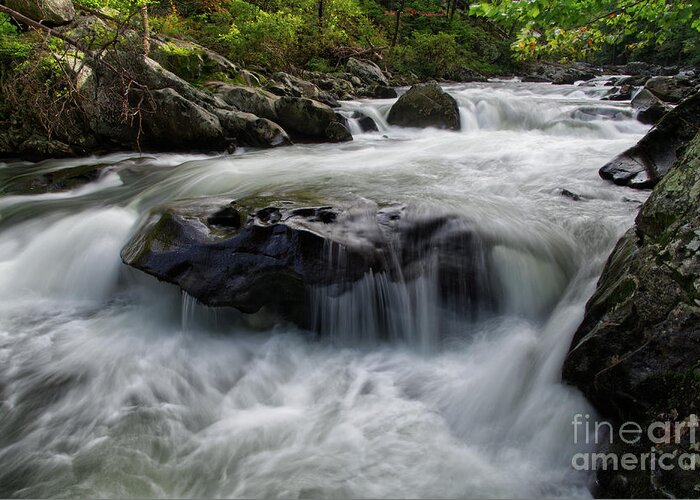 Adventure Greeting Card featuring the photograph Tellico River 4 by Phil Perkins