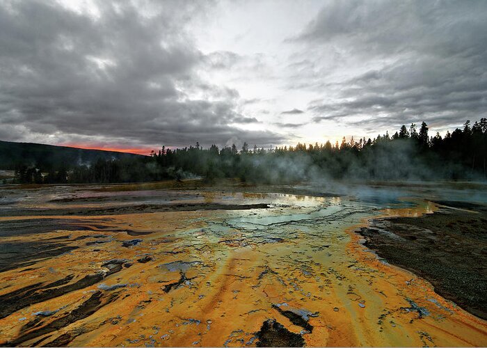 Terraformers' Descendants Greeting Card featuring the photograph Terraformers' Descendants -- Cyanobacteria at Doublet Pool in Yellowstone National Park, Wyoming by Darin Volpe