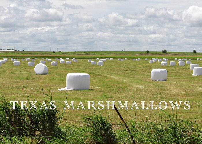 Harvest Greeting Card featuring the photograph Texas Marshmallows by Steve Templeton