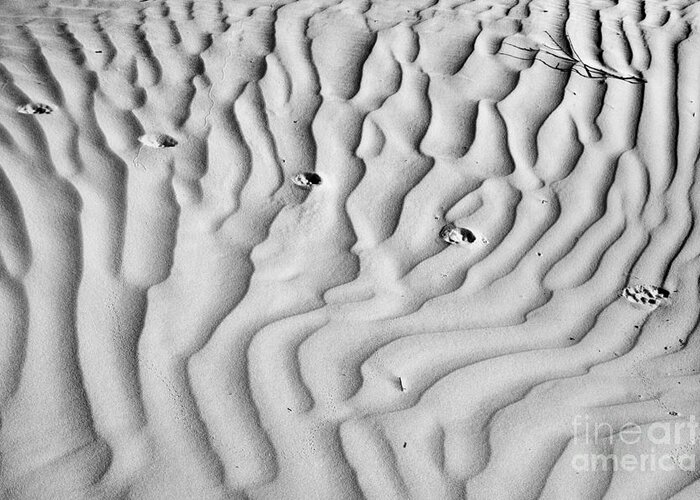 Guadalupe Greeting Card featuring the photograph Texas Sand Ripples Black And White by Adam Jewell