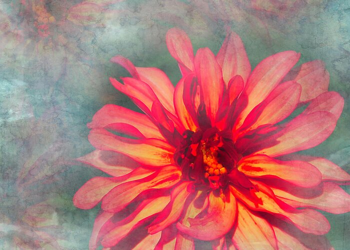 Dahlia Greeting Card featuring the photograph Textured Dahlia by Aimee L Maher ALM GALLERY