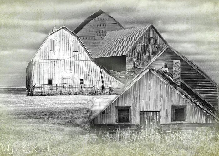 Barns Greeting Card featuring the photograph The Barns by Jolynn Reed