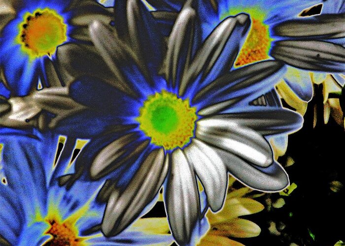 Flowers Greeting Card featuring the photograph The Black Daisy by Andrew Lawrence