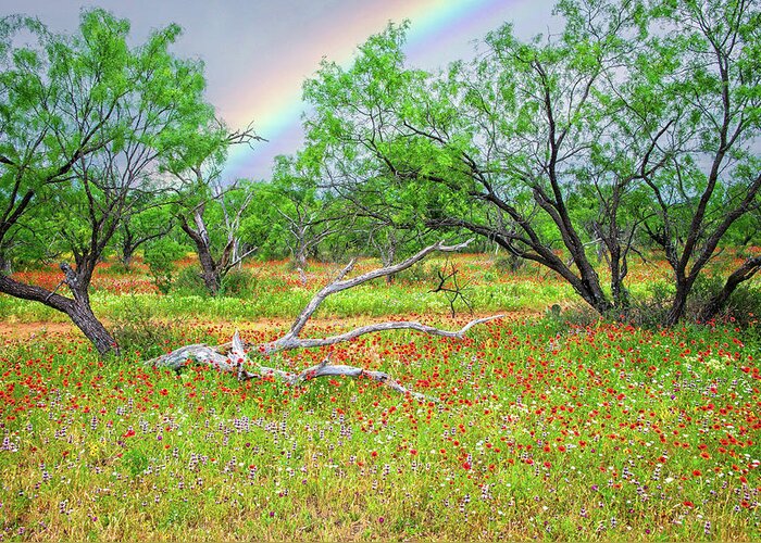 Texas Hill Country Greeting Card featuring the photograph The Blessings of Rain by Lynn Bauer