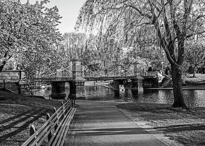 Boston Greeting Card featuring the photograph The Boston Public Garden in the Spring Boston MA Black and White by Toby McGuire