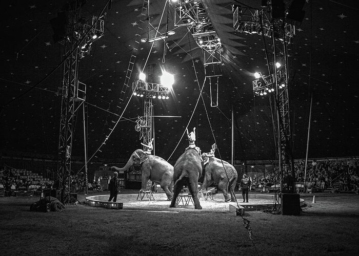 Black And White Greeting Card featuring the photograph The Circus by Sally Bauer