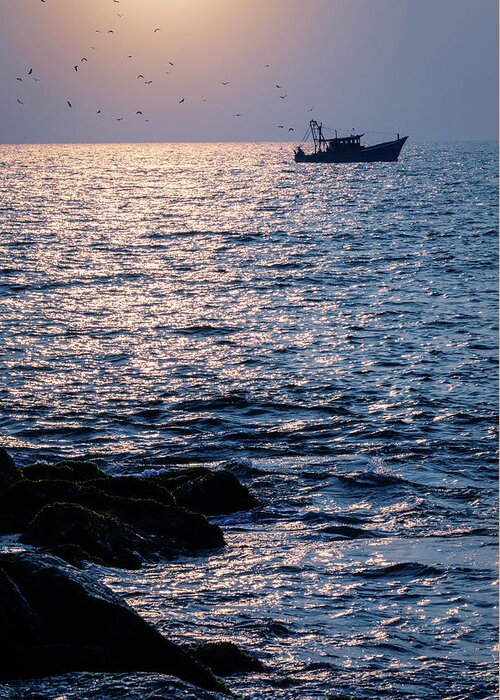 Arabian Sea Greeting Card featuring the photograph The Day's Catch by Manpreet Sokhi