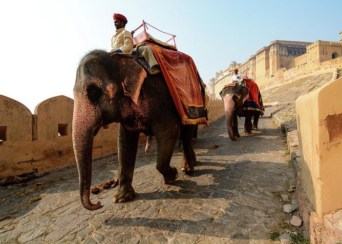 India Greeting Card featuring the photograph Kingdom Come. - Amber Palace, Rajasthan, India by Earth And Spirit