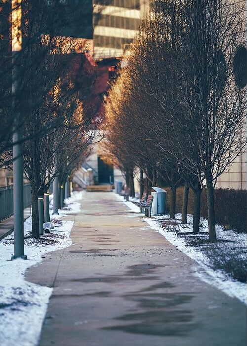 Chicago Greeting Card featuring the photograph The Empty Path by Nisah Cheatham
