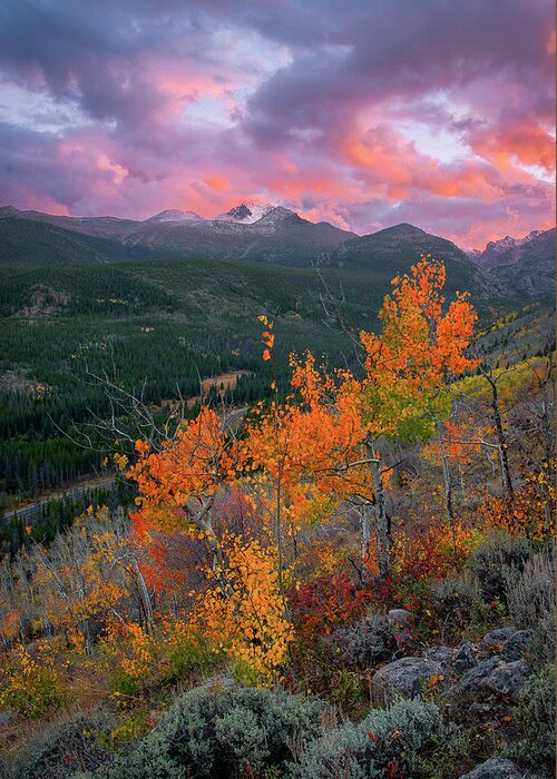 Longs Greeting Card featuring the photograph The End of Autumn - Rocky Mountain National Park by Aaron Spong