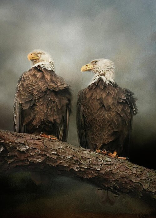 Bald Eagles Greeting Card featuring the photograph The End Of The Storm by Jai Johnson
