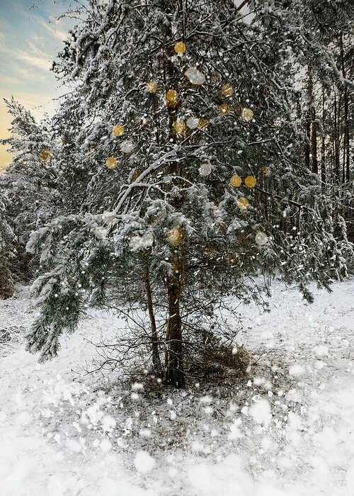 Forest Photography Greeting Card featuring the mixed media The Forest Raised A Christmas Tree by Aleksandrs Drozdovs