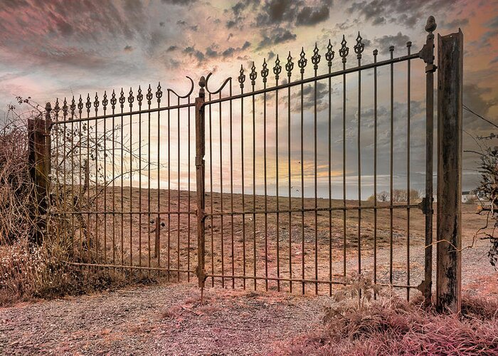 Gate Greeting Card featuring the photograph The gate to another dimension by Yasmina Baggili