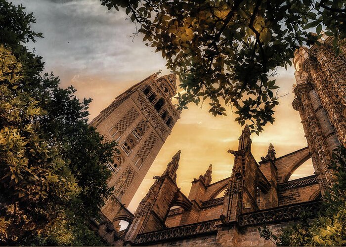Cathedral Greeting Card featuring the photograph The Gothic Cathedral by Micah Offman