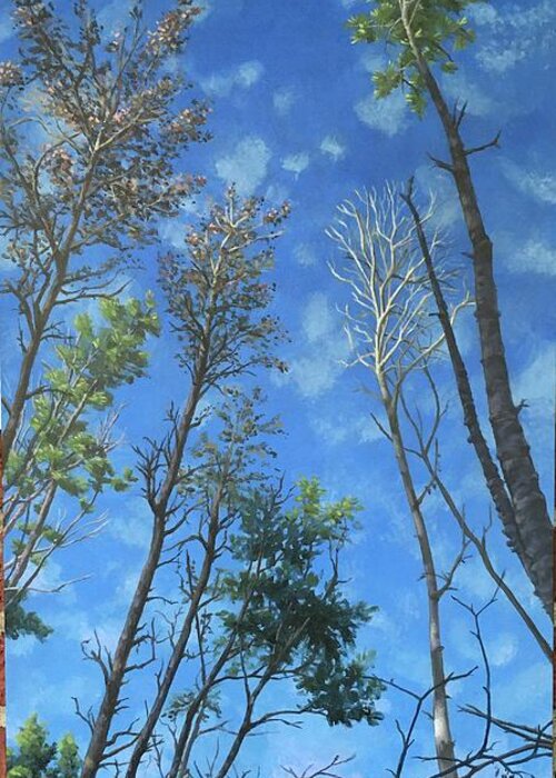 Trees Greeting Card featuring the painting The Heights by Don Morgan