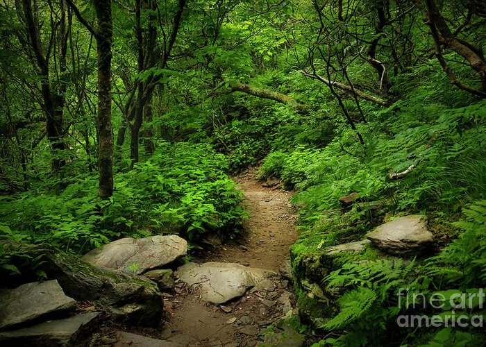 Appalachian Greeting Card featuring the photograph The Joy of Hiking by Shelia Hunt