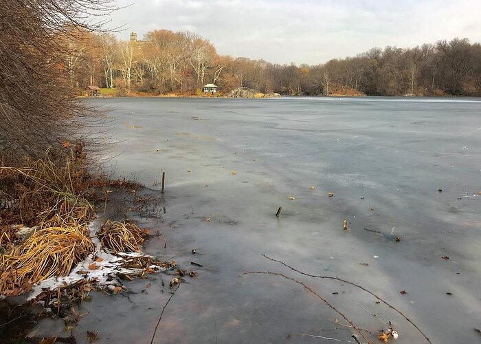  Greeting Card featuring the photograph The Lake in December by Judy Frisk