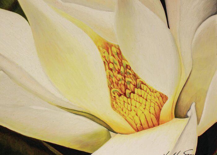 Magnolia Greeting Card featuring the drawing The Last Magnolia by Kelly Speros