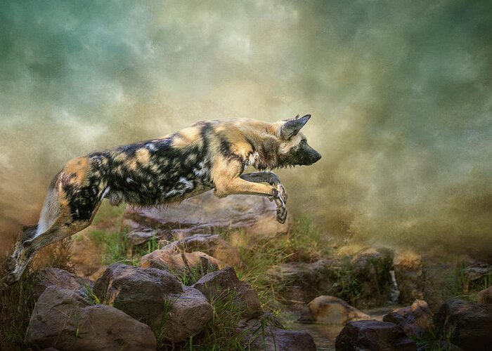 African Wild Dog Greeting Card featuring the digital art The Leap by Nicole Wilde