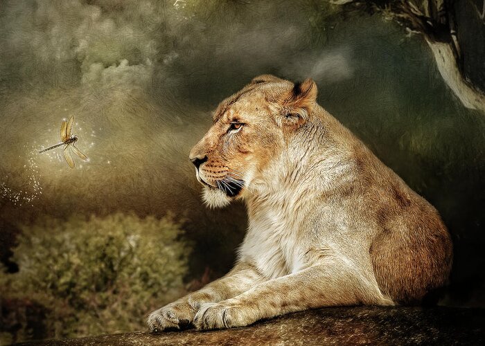 Lioness Greeting Card featuring the digital art The Lioness by Maggy Pease