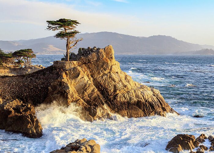 Ngc Greeting Card featuring the photograph The Lone Cypress by Robert Carter