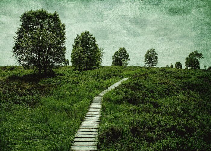 Land Greeting Card featuring the photograph The long path by Yasmina Baggili