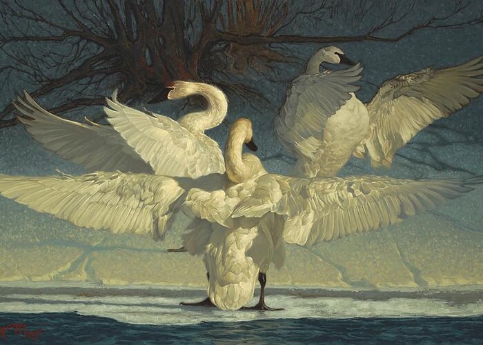 Swan Greeting Card featuring the painting The Maestros by Greg Beecham