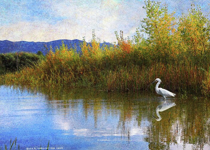 Egret Greeting Card featuring the photograph The Marsh Snowy Egret by Christopher Vest