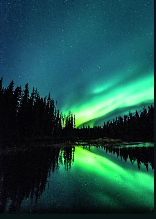 Green Greeting Card featuring the photograph The Northern Lights over Alaska by David Morefield