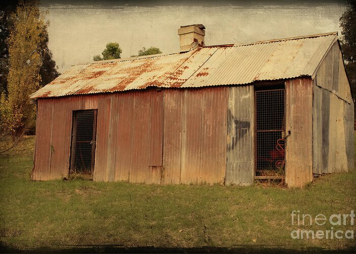 Texture Greeting Card featuring the photograph The Old Shed by Elaine Teague