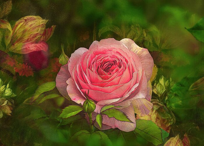 Rose Greeting Card featuring the photograph Vintage Rose II by Shelia Hunt