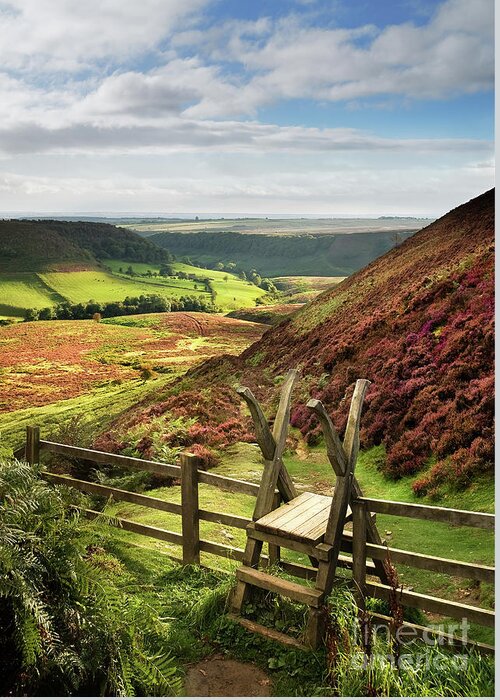 2011 Greeting Card featuring the photograph The Path to Low Horcum by Richard Burdon