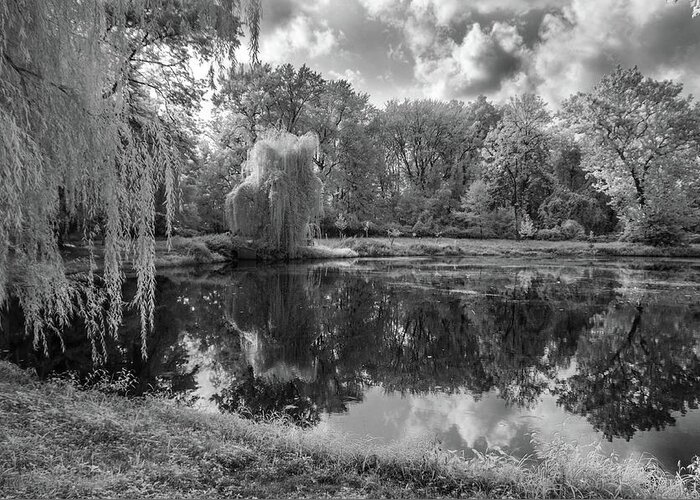 Trees Greeting Card featuring the photograph The Pond at Meisel Avenue Park by Alan Goldberg