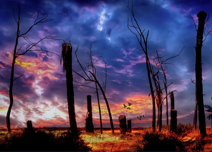 Sky Greeting Card featuring the photograph The Remains of the Day by Micah Offman