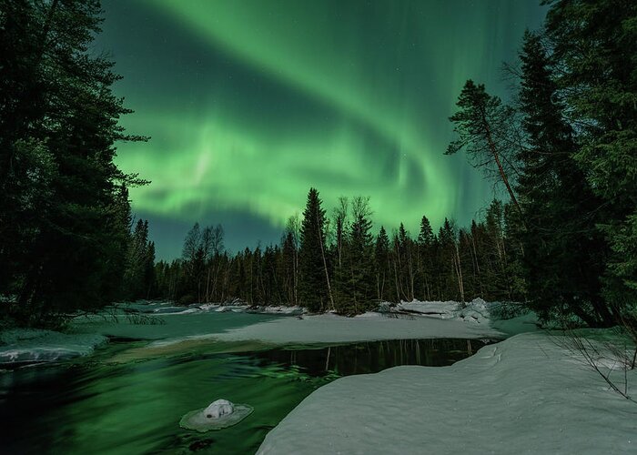 Aurora Borealis Greeting Card featuring the photograph The rush by Thomas Kast
