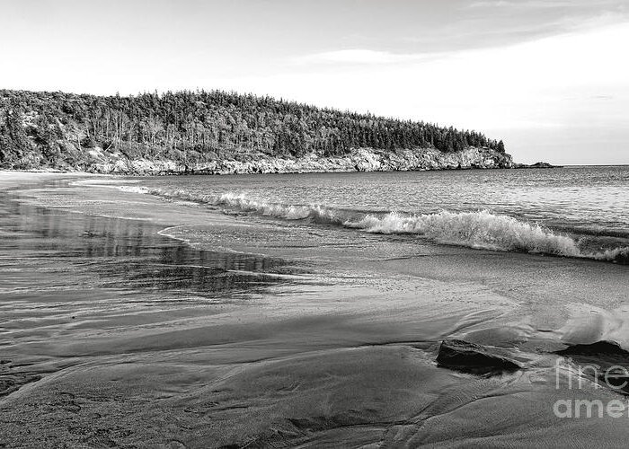 Acadia Greeting Card featuring the photograph The Sand Beach at Acadia National Park by Olivier Le Queinec