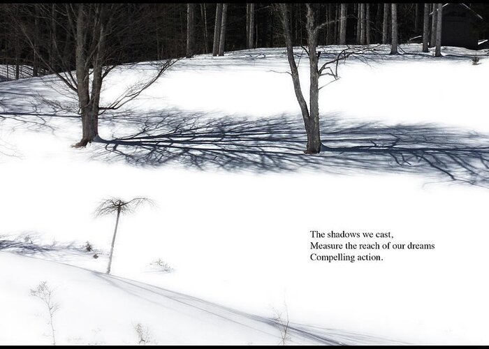  Trees Greeting Card featuring the photograph The Shadows We Cast Haiku by Wayne King