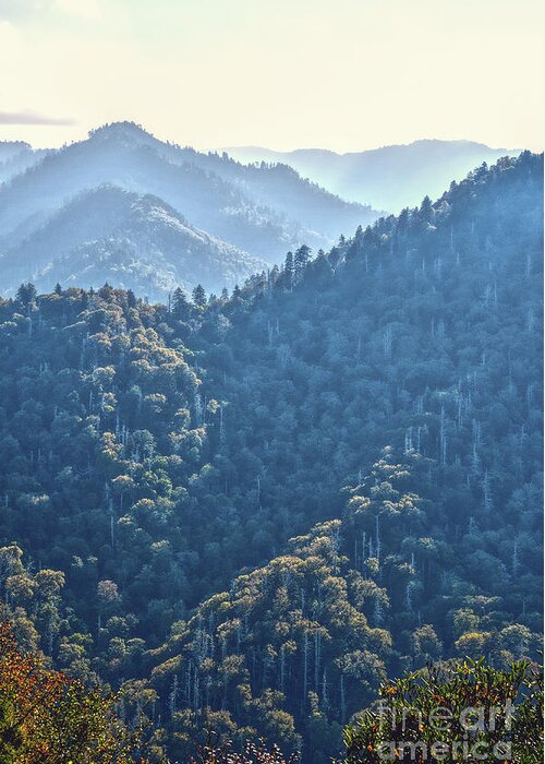 Chimney Tope Greeting Card featuring the photograph The Smoky Mountains by Phil Perkins