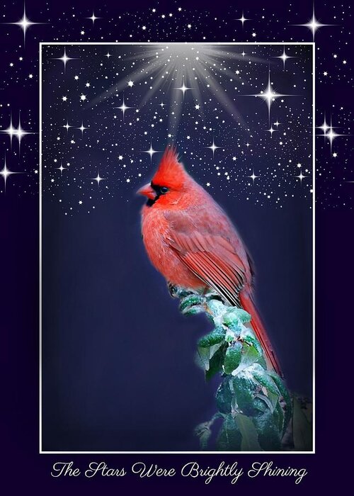 Greeting Greeting Card featuring the photograph The Stars were Brightly Shining by Marilyn DeBlock