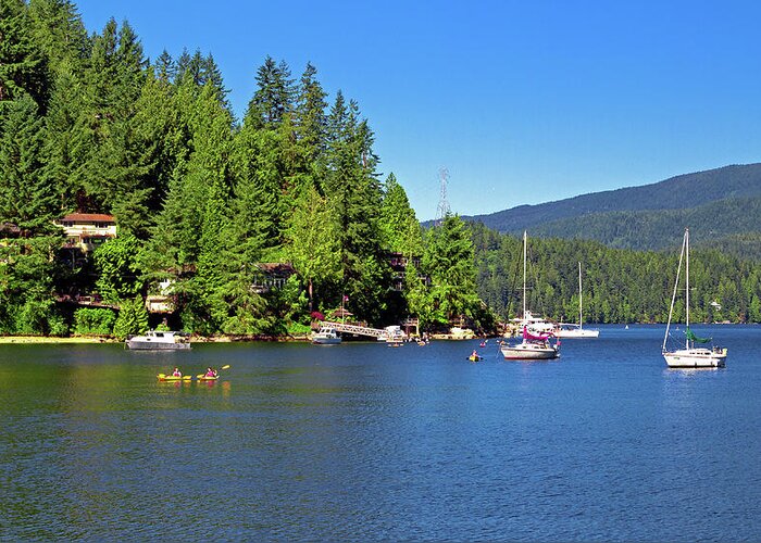 Alex Lyubar Greeting Card featuring the photograph The village on the slope of Deep Cove by Alex Lyubar
