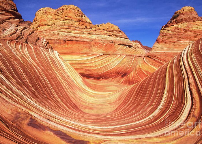 The Wave Greeting Card featuring the photograph The Wave, Coyote Butte, Arizona, USA by Neale And Judith Clark