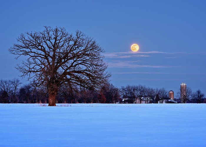 Moon Greeting Card featuring the photograph The Winter Blues - Wolf Moonrise with Lone Oak and WI Dairy Farm by Peter Herman