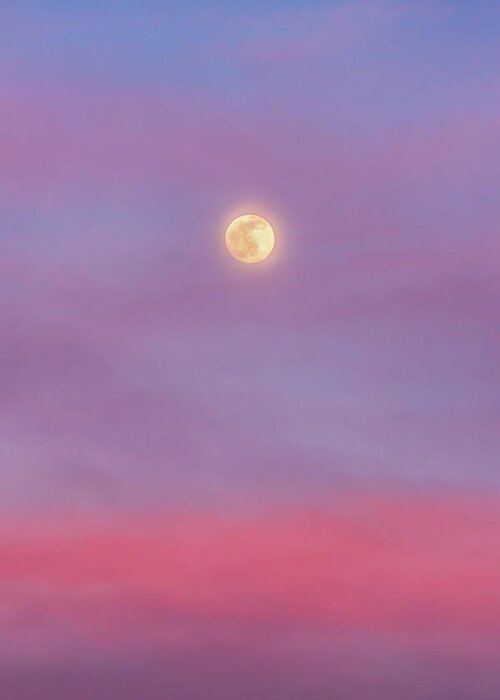 Moon Greeting Card featuring the photograph The Wolf Moon and the Belt of Venus by Alexios Ntounas