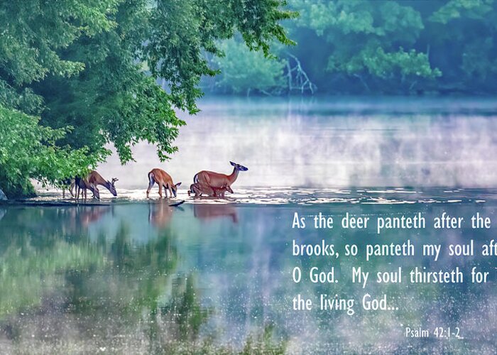 Deer Greeting Card featuring the photograph Thirsty for More Than Water by Marcy Wielfaert