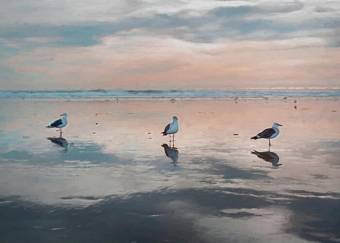 Three Birds Greeting Card featuring the mixed media Three Seagulls on the Beach by Alison Frank