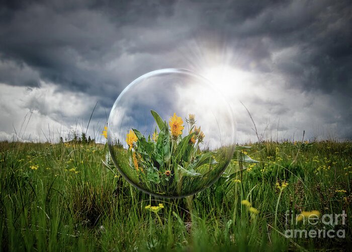 Crystal Greeting Card featuring the photograph Through the Crystal Ball by Thomas Nay