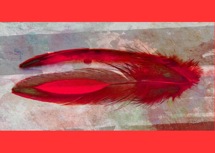Feathers Greeting Card featuring the photograph Tickle Me Red by Rene Crystal