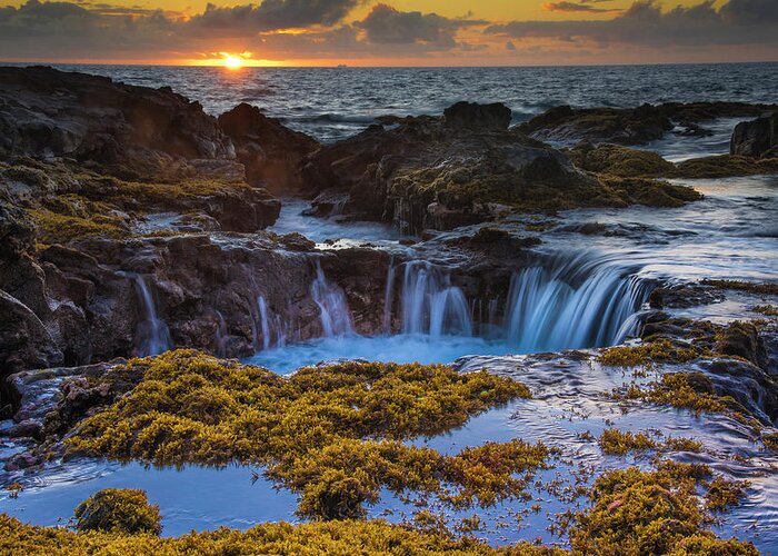 Hawaii Greeting Card featuring the photograph Tidal Pools in Hawaii by Bill Cubitt